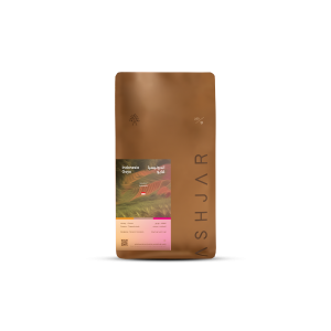 Indonesia_gayo